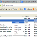 Default Firefox PDF viewer setting