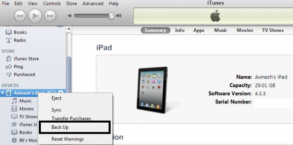 iPad iOS 5 Backup