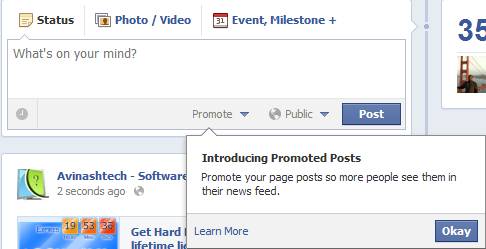 Facebook Promoted Posts-