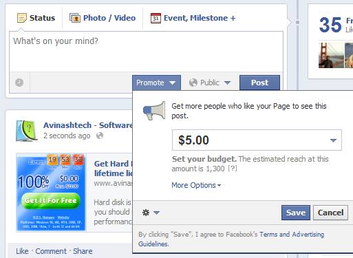 Facebook Promoted Posts
