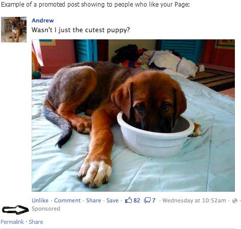 Sponsored Facebook post