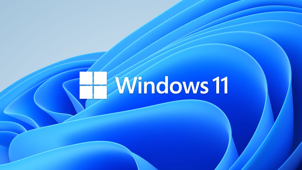 Windows 11 logo on the blue Bloom wallpaper background